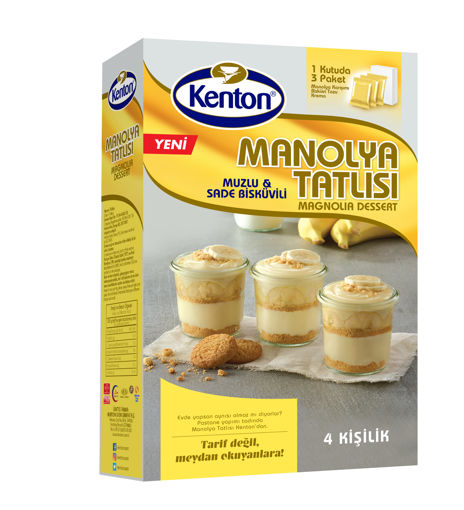 Kenton Manolya Muzlu Puding 195 Gr nin resmi