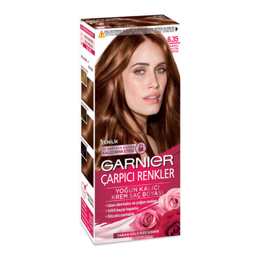 Garnier Çarpıcı Renkler 6.35 Çarpıcı Altın Kahve Saç Boyası nin resmi
