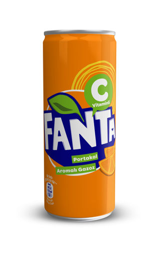 Fanta Portakal 250 Ml nin resmi