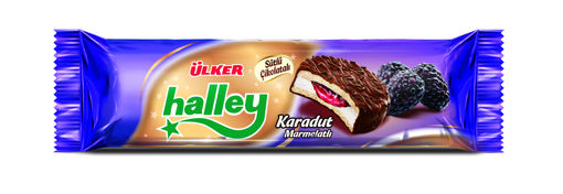 Halley Mini Karadutlu Bisküvi 74 Gr nin resmi