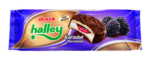 Halley Karadutlu Bisküvi 7'li nin resmi