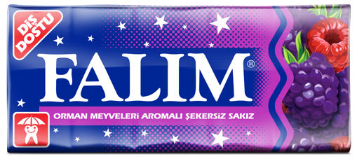 Falım Orman Meyveleri Aromalı Şekersiz Sakız 5'li nin resmi