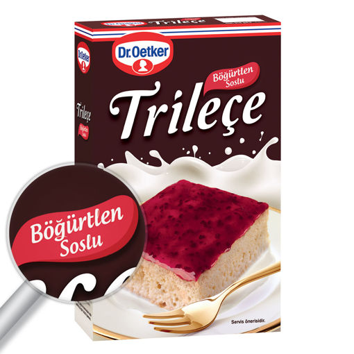 Dr. Oetker Böğürtlen Soslu Trileçe 315 Gr nin resmi