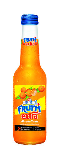 Uludağ Frutti Extra Mandalina Aromalı Maden Suyu 250 Ml nin resmi