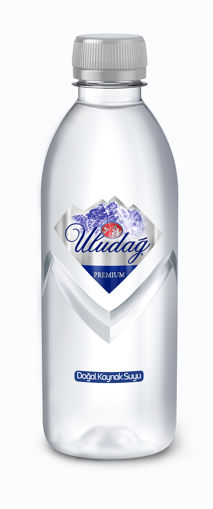 Uludağ Premium Su 400 Ml nin resmi