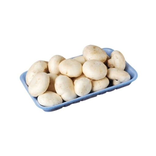 Mantar Izgara Paket 500 Gr nin resmi