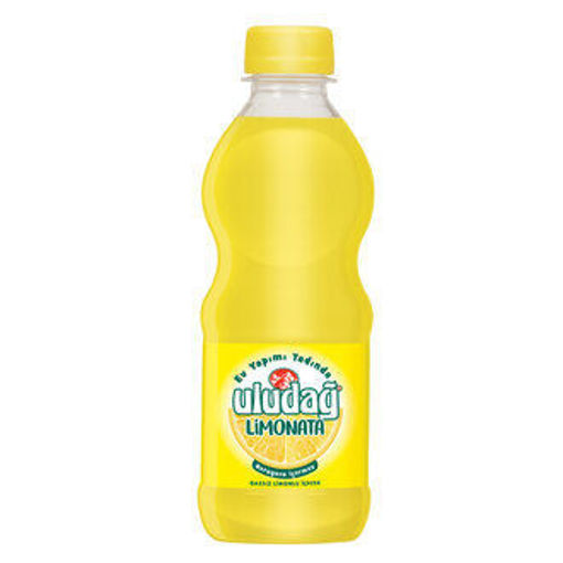 Uludağ Limonata 330 Ml nin resmi