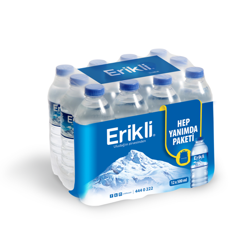 Erikli Su 0.5 Lt 12'Li nin resmi