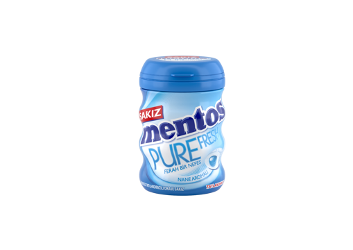 Mentos Pure Fresh Nane Aromalı Sakız 60 Gr nin resmi