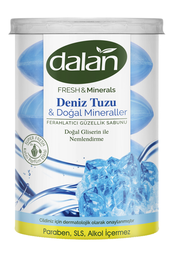 Dalan Fresh & Minerals Deniz Tuzu Duş Sabunu 440 gr nin resmi