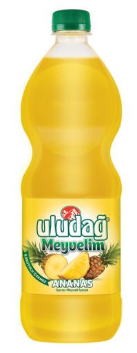 Uludağ Meyvelim Ananas 1 lt nin resmi
