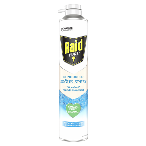 Raid Pure Böcek Dondurucu Sprey 350 ml nin resmi