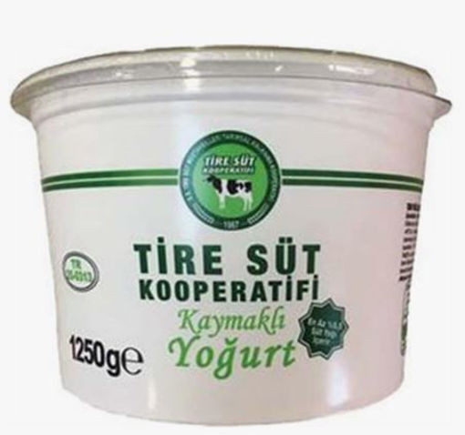 Tire Süt Kooperatifi Kaymaklı Yoğurt 1250 Gr nin resmi