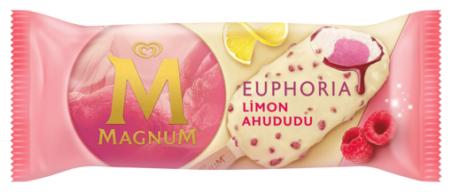Algida Magnum Euphoria Limon Ahududu Dondurma 85 Ml nin resmi