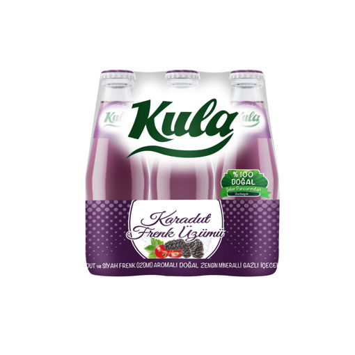 Kula Karadut&Frenk Üzümlü Maden Sodası 6*200 Ml nin resmi