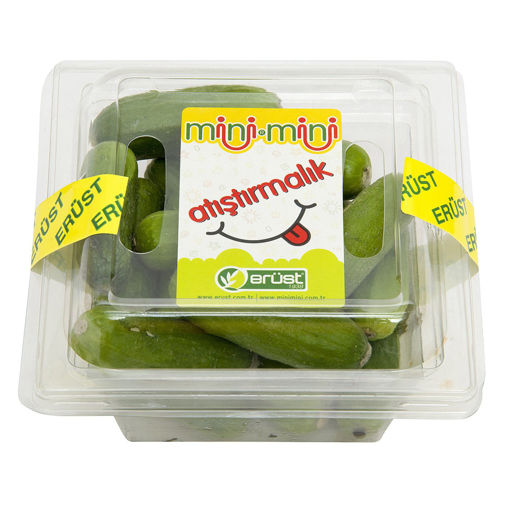 Manav Erüst Atıştırmalık Hıyar 250 Gr nin resmi