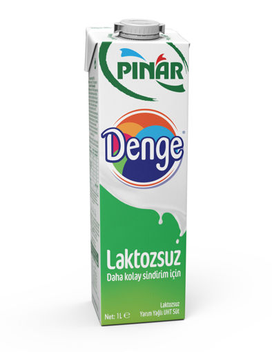 Pınar Laktozsuz Süt 1 Lt nin resmi