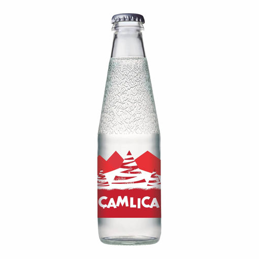 Çamlıca Sade Gazoz 200 Ml nin resmi