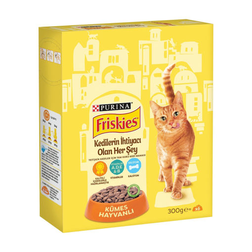 Friskies Kümes Hayvanlı Yetişkin Kedi Maması 300 Gr nin resmi