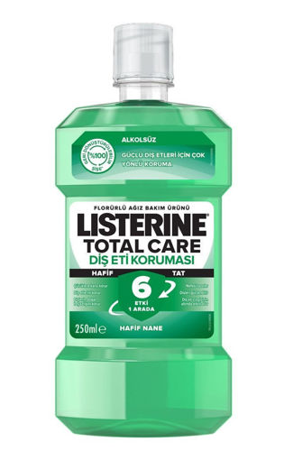 Listerine Diş ve Diş Eti Koruması Hafif Tat Ağız Bakım Suyu 250 Ml nin resmi