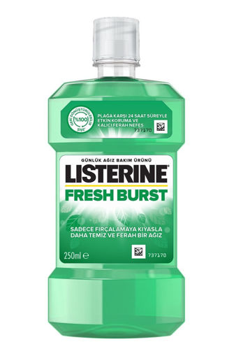 Listerine Fresh Burst Ferah Nane Ağız Bakım Suyu 250 Ml nin resmi