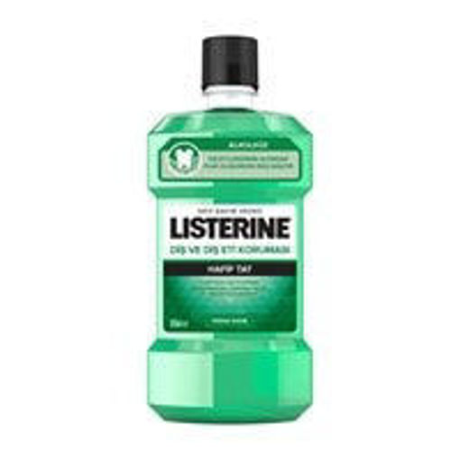 Listerine Diş ve Diş Eti Koruması Hafif Tat Ağız Bakım Suyu 500 Ml nin resmi