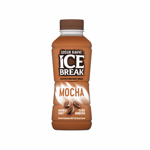 Ice Break Mocha 375 Ml nin resmi