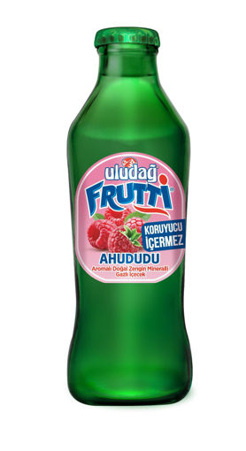 Uludağ Frutti Ahududulu Soda 200 Ml nin resmi
