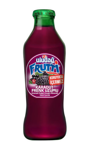 Uludağ Frutti Karadut&Frenk Üzümü Soda 200 Ml nin resmi
